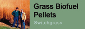 Grass Biofuel Pellets