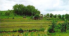 A learning farm developed to demonstrate sustainable practices and diversified farming systems