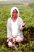 Woman in field
