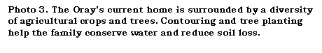 Text Box: Photo 3. The Oray�s current home is surrounded by a diversity of agricultural crops and trees. Contouring and tree planting help the family conserve water and reduce soil loss.